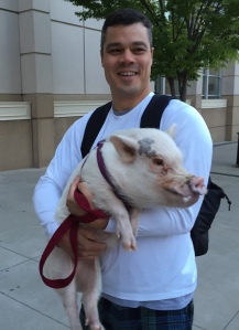 A Man and His Pig