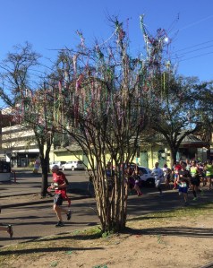 A tree covered in Mardi Gras beads