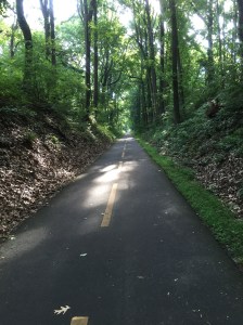 Back out on the trail for a run